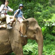 Bali Elephant tour